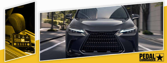 PC55 / Lexus / NX / AZ20 (2022+) / (2,4 L-2,5 L)