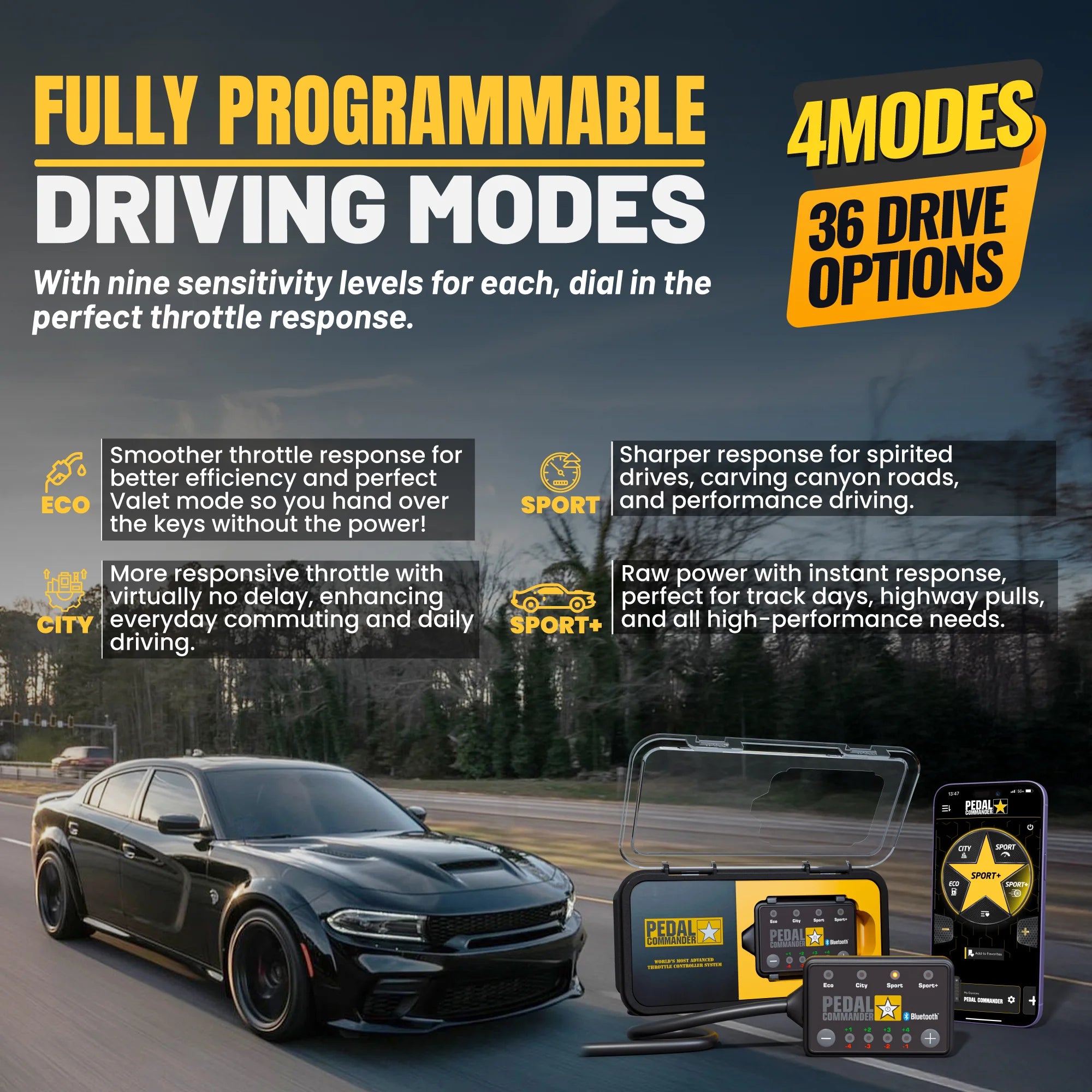 gallery-modes-Dodge-Charger