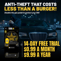 gallery-theft-Chrysler-300