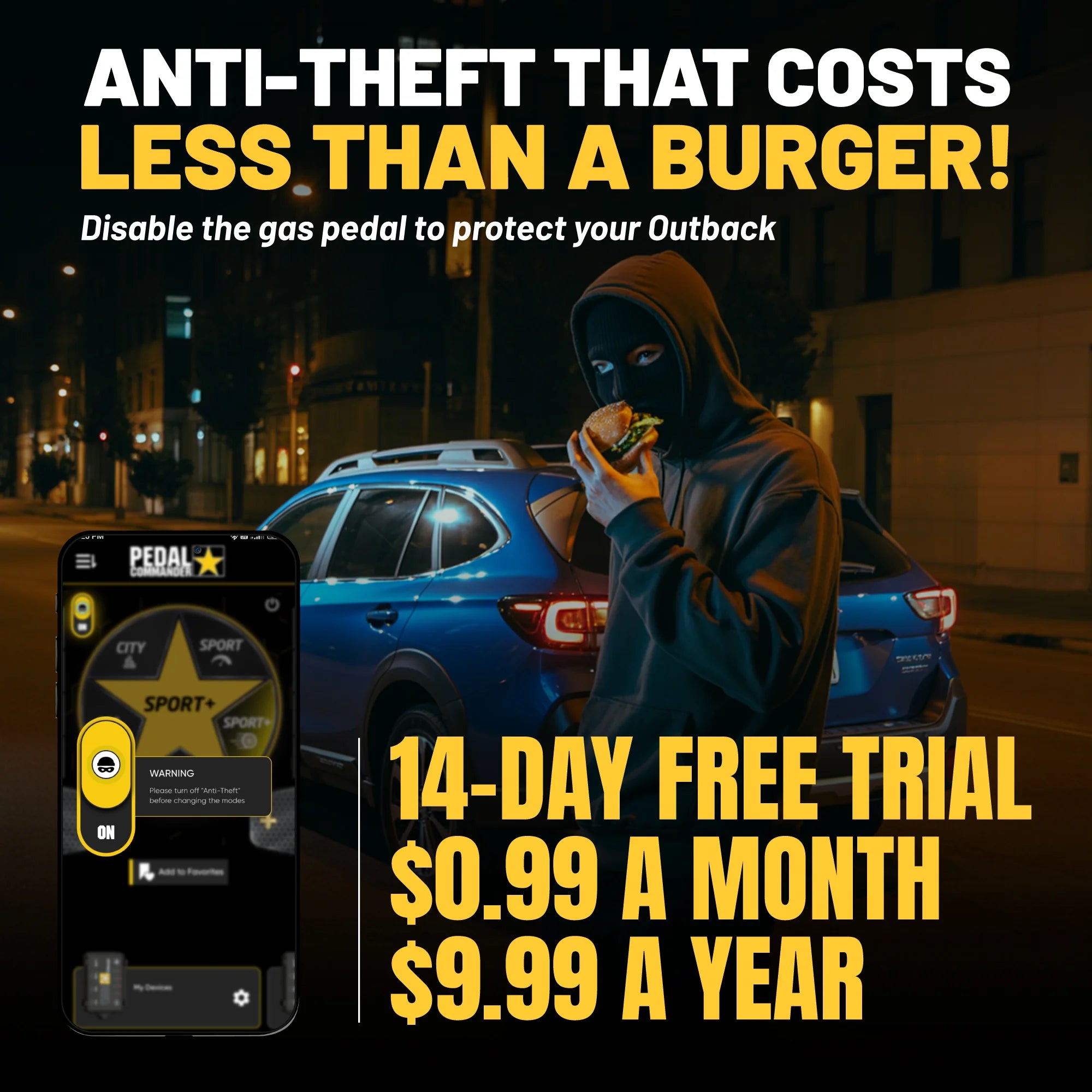 gallery-theft-outback